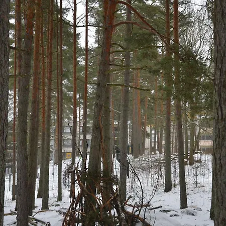 Huoneisto 65m2 Furnished 2-room And Free Parking *